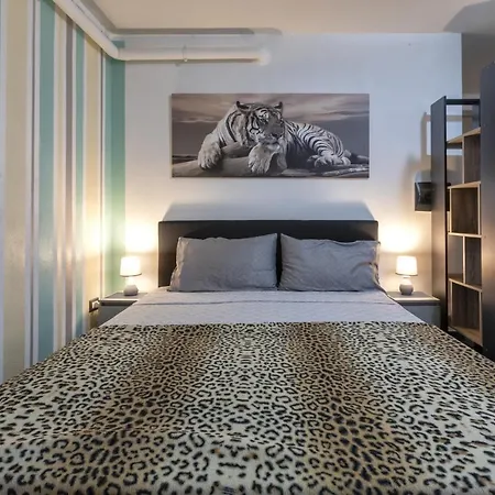 Monocale Nel Centro Di Apartman